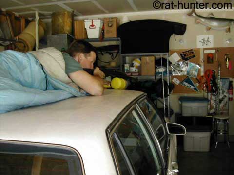 hunting rats 3 hunting rats 3