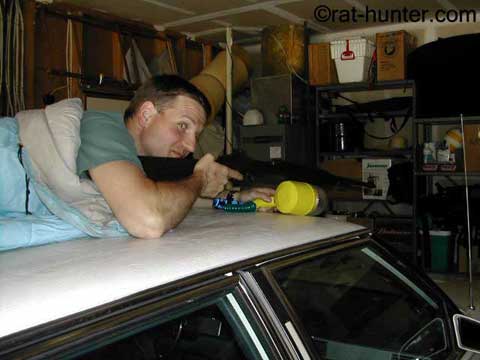 hunting rats 4 hunting rats 4