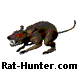 rat cursor
