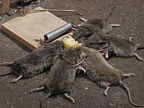 inspirational posters inspirational posters